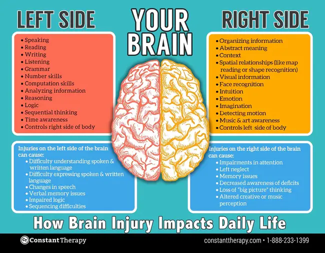 Cognitive Affective And Physical : 认知情感与生理