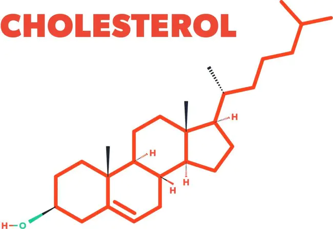 Cholesterol : 胆固醇