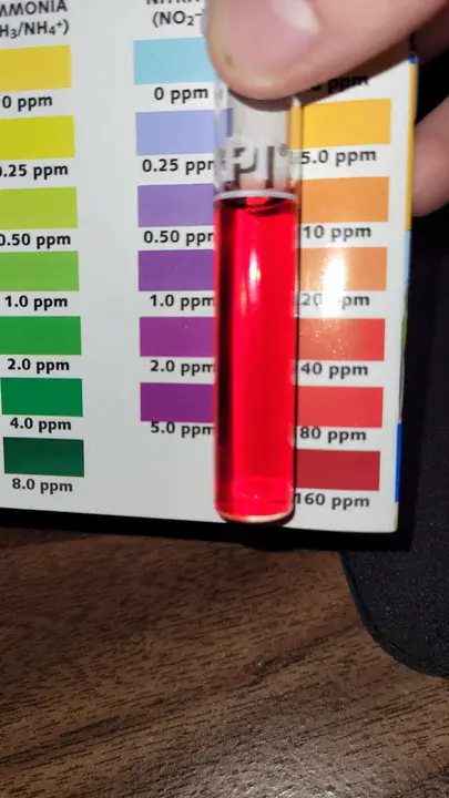 Nitrate Elimination Company, Inc. : 硝酸盐消除公司