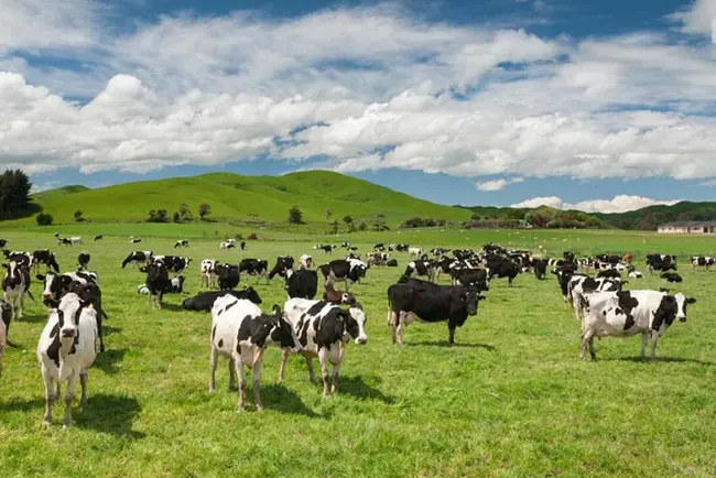 New Zealand Centre for Precision Agriculture : 新西兰精准农业中心