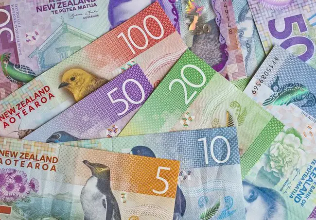 New Zealand Service : 新西兰服务