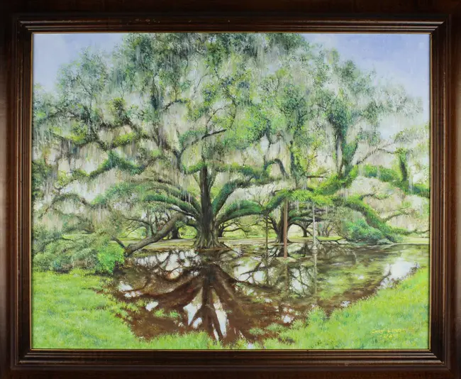 People Loving And Nurturing Trees : 人们热爱和培育树木