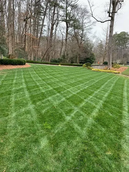 Piedmont Landscaping And Naturescaping Training : 山前景观与自然景观培训