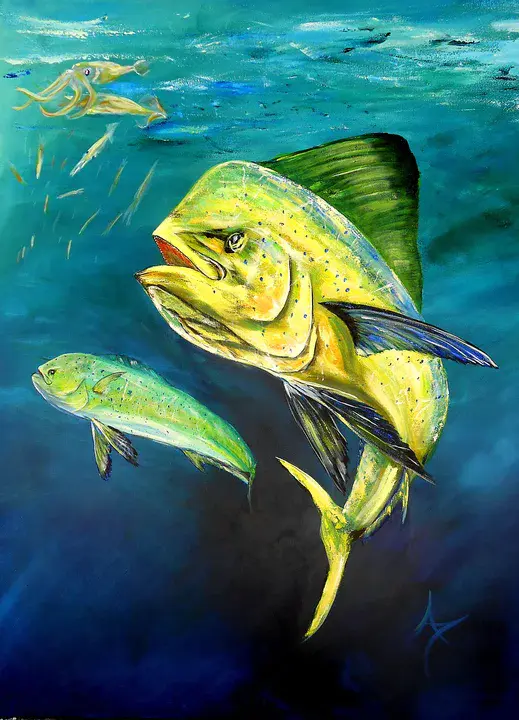 Ornamental Fish International : 国际观赏鱼协会