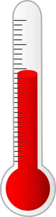 Basal Body Thermometer : 基础体温计