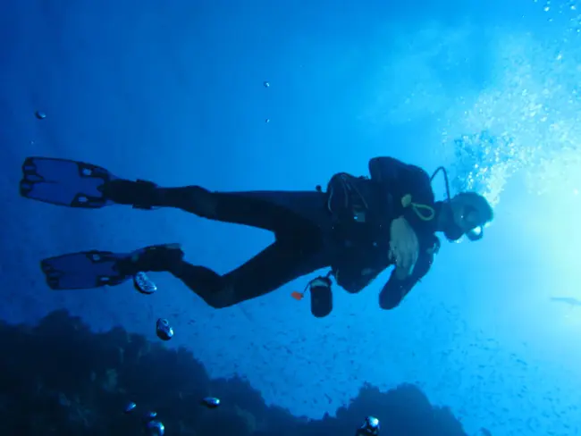 Overhead Environment Cavern-diver Course : 架空环境洞室潜水员航道