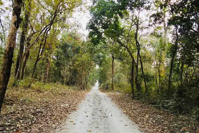 Baikunthapur Tara Sangha : 拜昆塔普尔塔拉僧伽