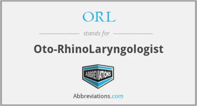 Oto-RhinoLaryngologist : 耳鼻喉科医师