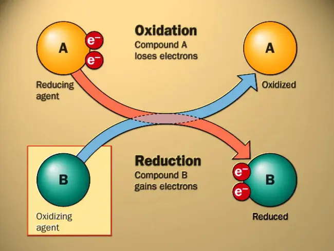 Oxidation-Reduction Reaction : 氧化还原反应