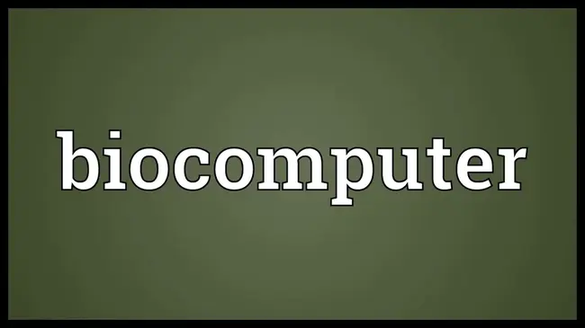 Biocomputer Operating System : 生物计算机操作系统