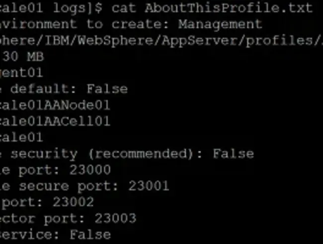 Websphere Load Manager : WebSphere负载管理器