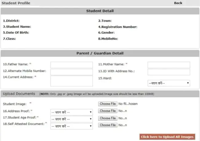 On-line User Manual : 在线用户手册