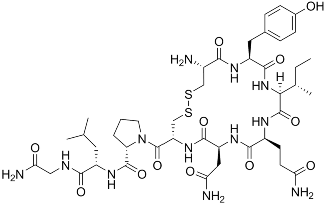 Oxytocin : 催产素