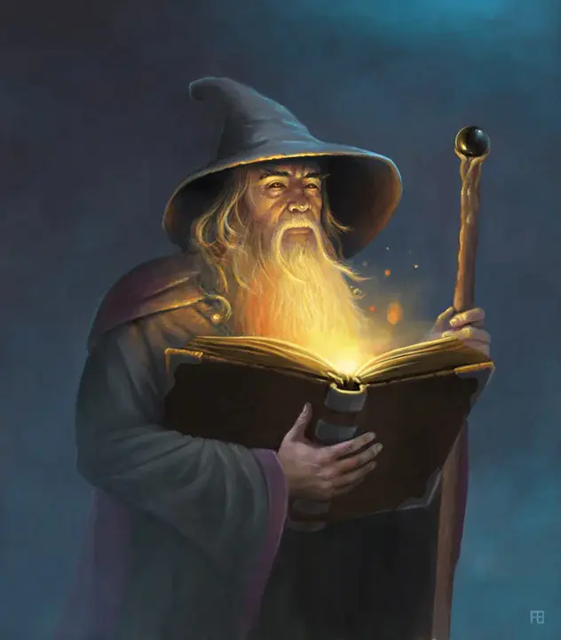 Wizard format : 向导格式