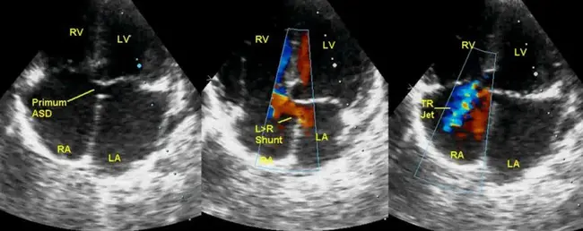 Primum Familiae Vini : 葡萄酒第一家族