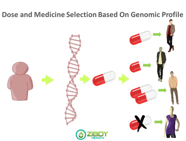 Pharmacogenomics : 药物基因组学