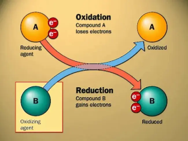 Lose Electrons Oxidation : 失去电子氧化