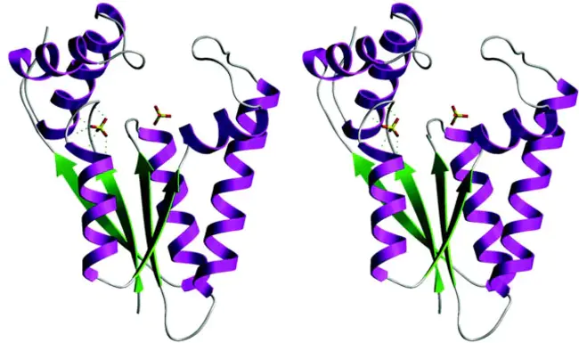 Protein Kinase RNA : 蛋白激酶RNA