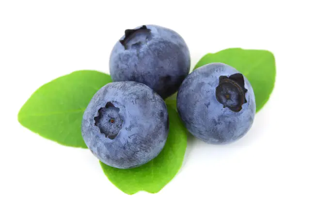 Blueberry : 蓝莓