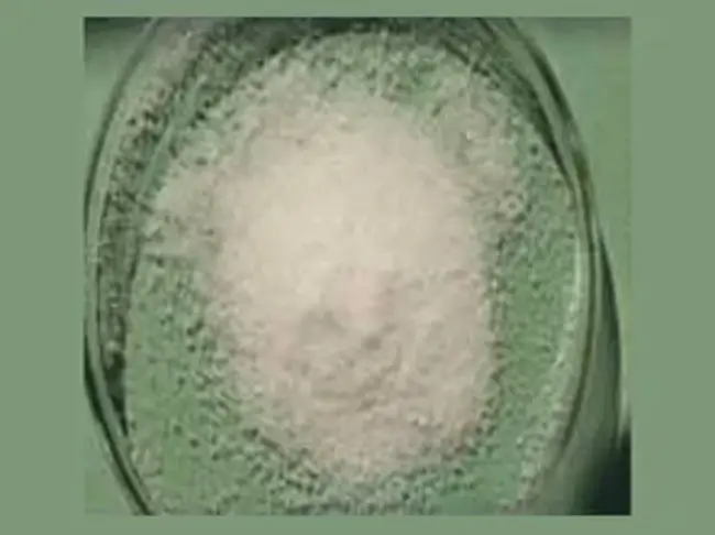 Di-Amonium Phosphate : 磷酸二铵
