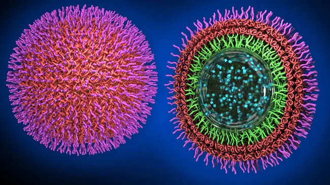 Nanoparticles Page : 纳米颗粒页面