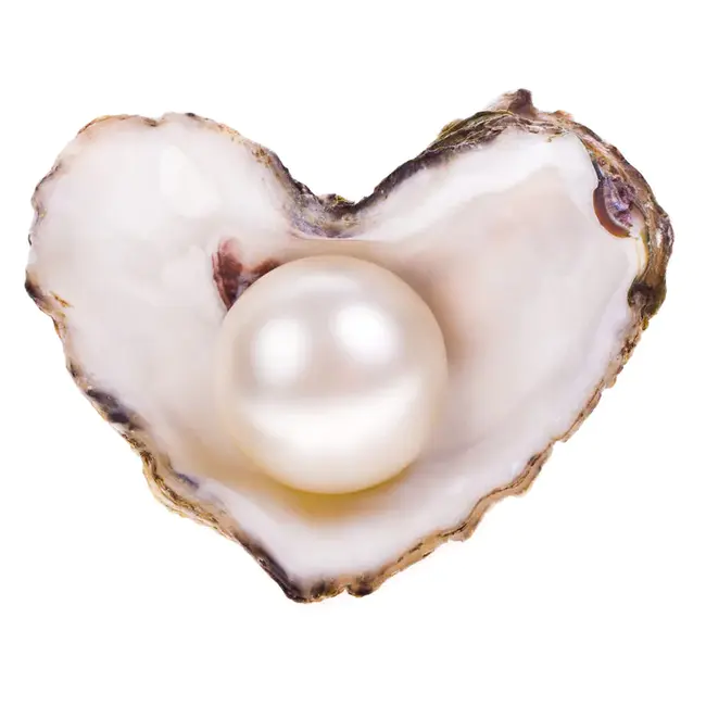 Pearl : 珍珠