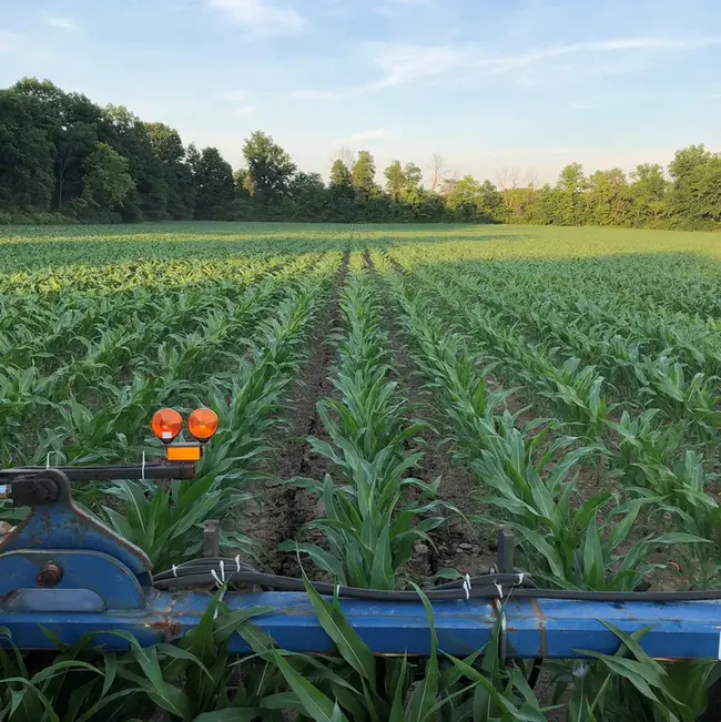 Pre-Sidedress Nitrate : 硝酸盐预处理