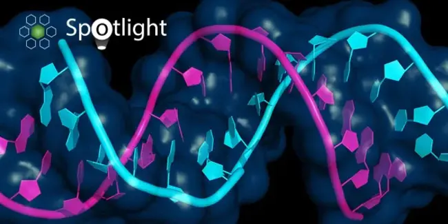 Oligonucleotide Ligand Assay : 寡核苷酸配体分析