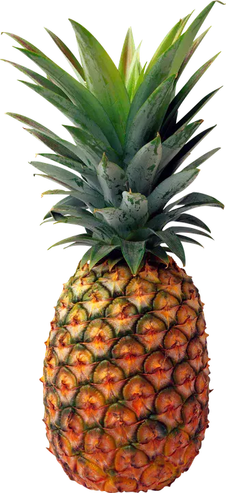 image/png : 图像/PNG