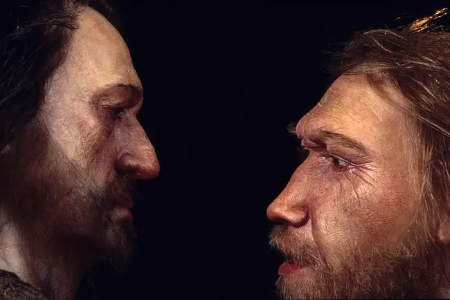 Neanderthal Technology : 尼安德特人技术