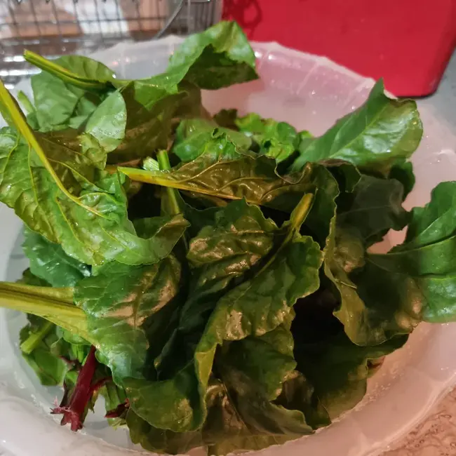 Will you transmit a continuous space? : 你会传送一个连续的空间吗？