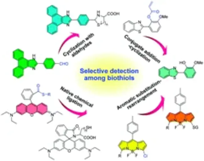 Quantitative Light-induced Fluorescence : 定量光诱导荧光