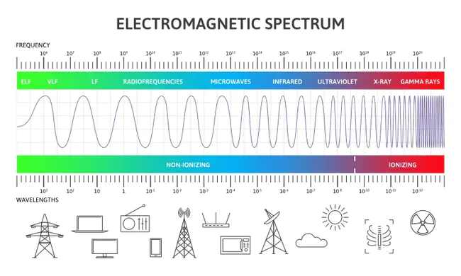 Electro Magnetic Frequencies : 电磁频率