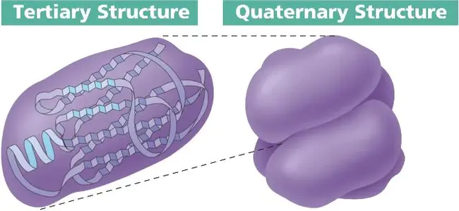 Quaternary Hydroxide : 四元氢氧化物