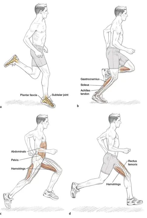 Agility Conditioning Endurance And Strength : 敏捷性训练耐力和力量