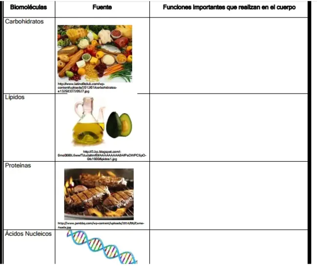 Recursos Genéticos Forestales : 森林遗传资源