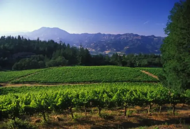 Constant Intensity : 恒定强度