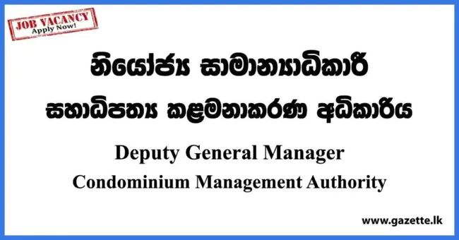 Minimal Manager Management : 最小管理者管理