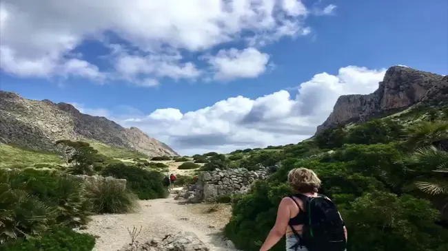 Terribly Juicy : 多汁多汁