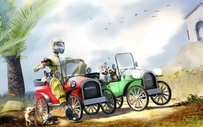 Community Activity Recreational Events : 社区活动娱乐活动