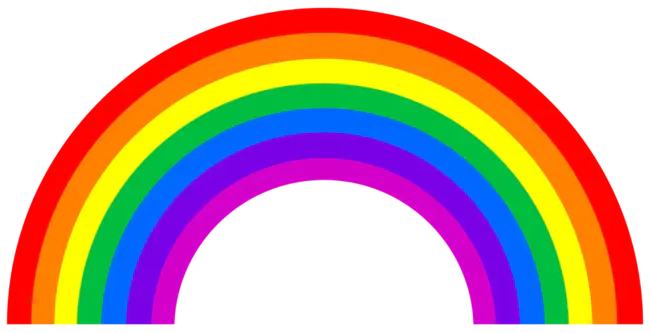 National Alliance Rainbow Coalition : 国家联盟彩虹联盟