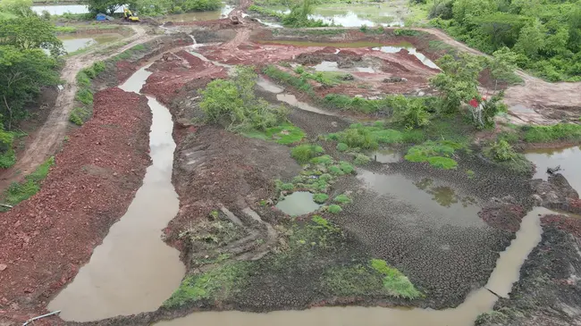 Rain Water Harvesting : 雨水收集