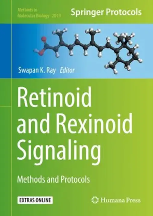 Retinoid X Receptor : 视黄醇X受体