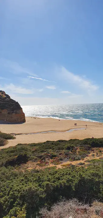 The Airline of Portugal : 葡萄牙航空公司