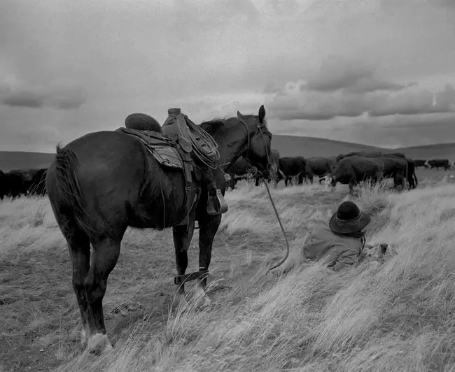 Eliye Springs, Kenya : 肯尼亚伊莱耶斯普林斯