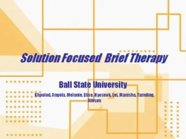 Solution Focused Therapy : 解决方案集中治疗