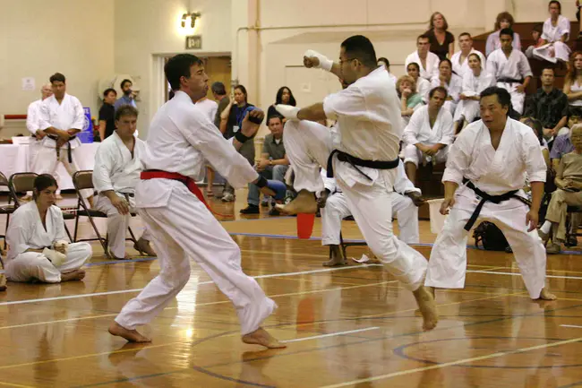 Shotokan Karate-Do : 肖托坎空手道