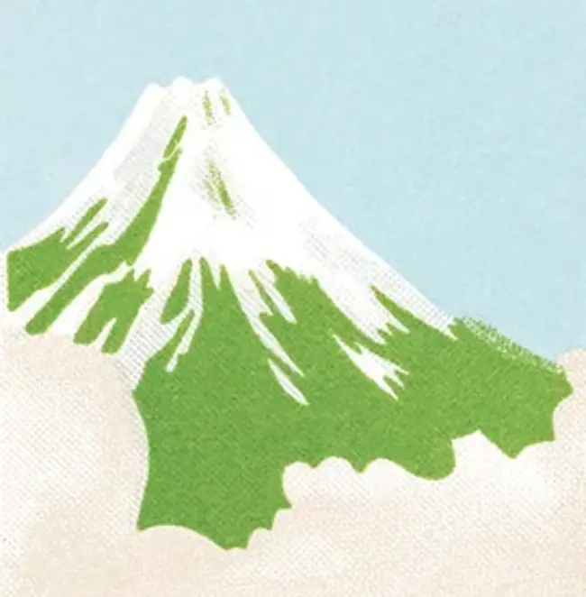 Mount Fuji : 富士山