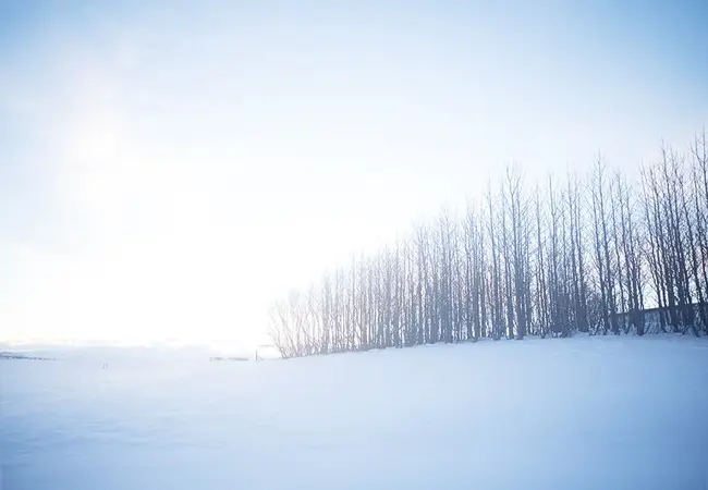 Shelley Machine & Marine, Inc., Sarnia, Ontario, Canada : 雪莱机械与海洋公司，加拿大安大略省萨尼亚