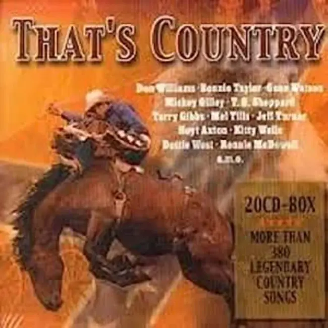 Country Music Trash : 乡村音乐垃圾